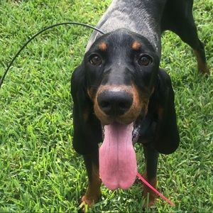 Meet your Posher, Kayla